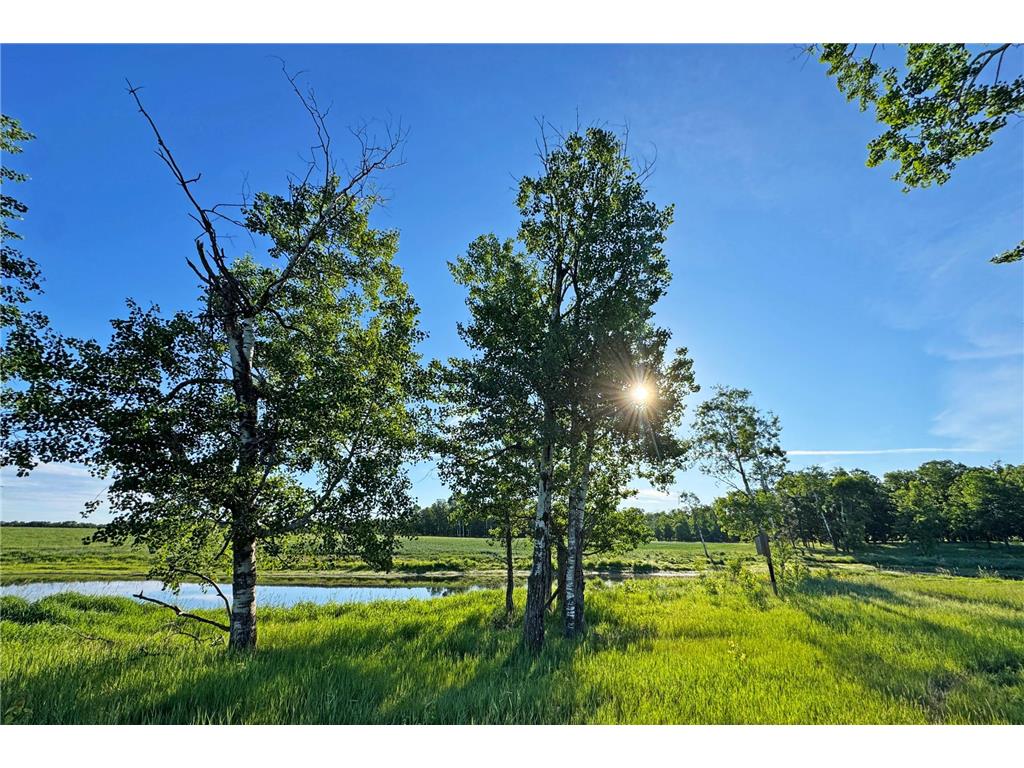 0000 Pine Street Fifty Lakes MN 56442 7094417 image28