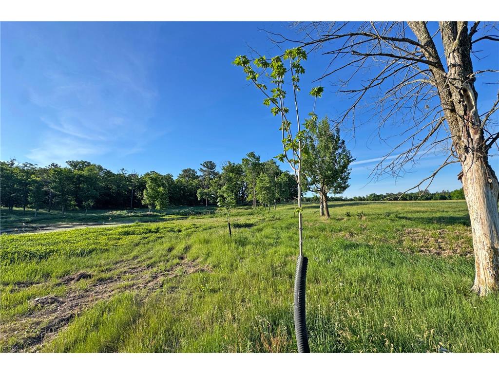 0000 Pine Street Fifty Lakes MN 56442 7094417 image29