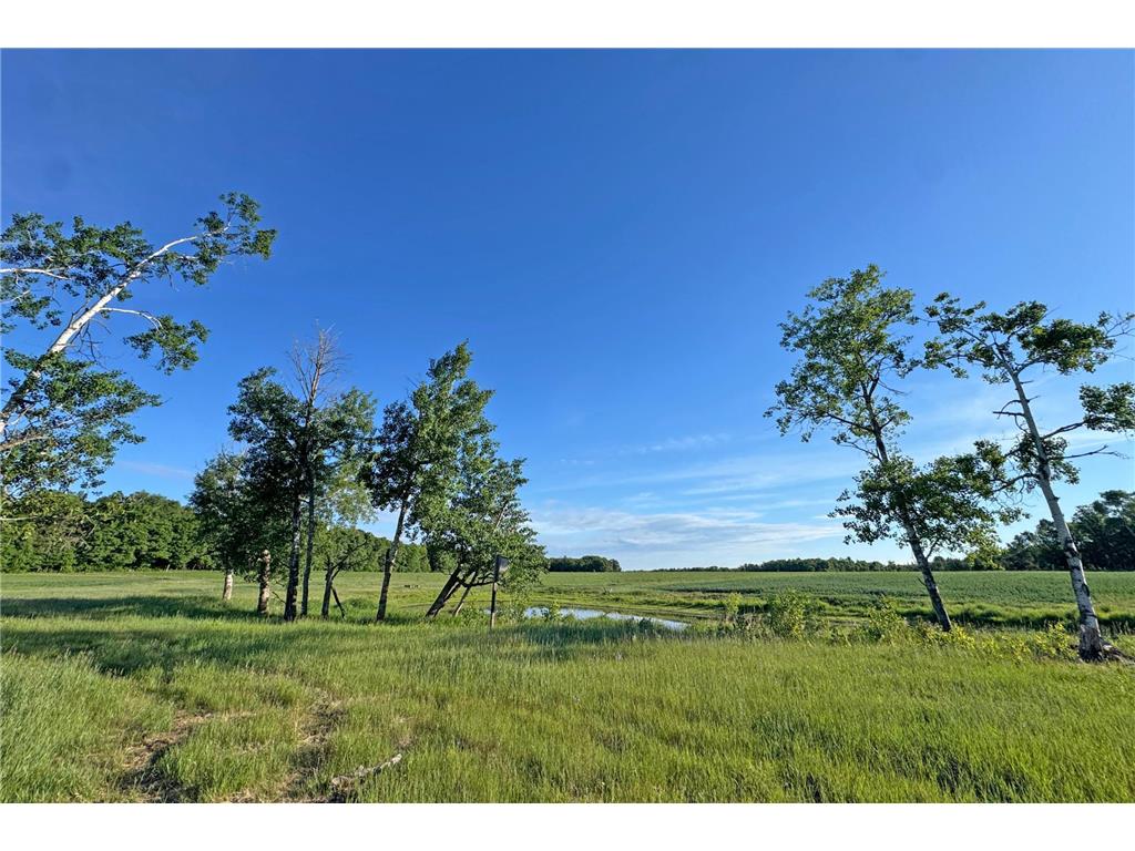 0000 Pine Street Fifty Lakes MN 56442 7094417 image30