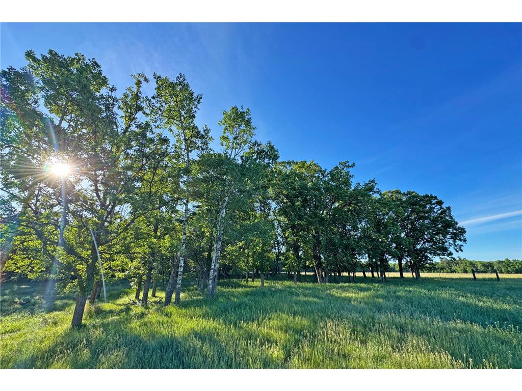 0000 Pine Street Fifty Lakes MN 56442 7094417 image31