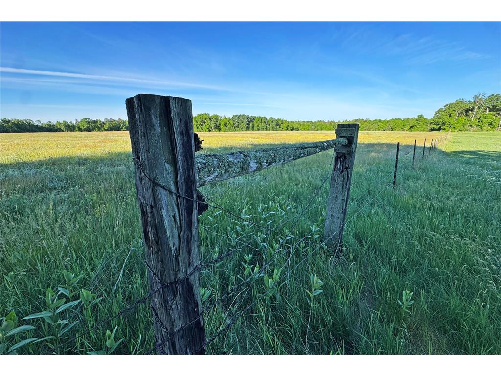 0000 Pine Street Fifty Lakes MN 56442 7094417 image32