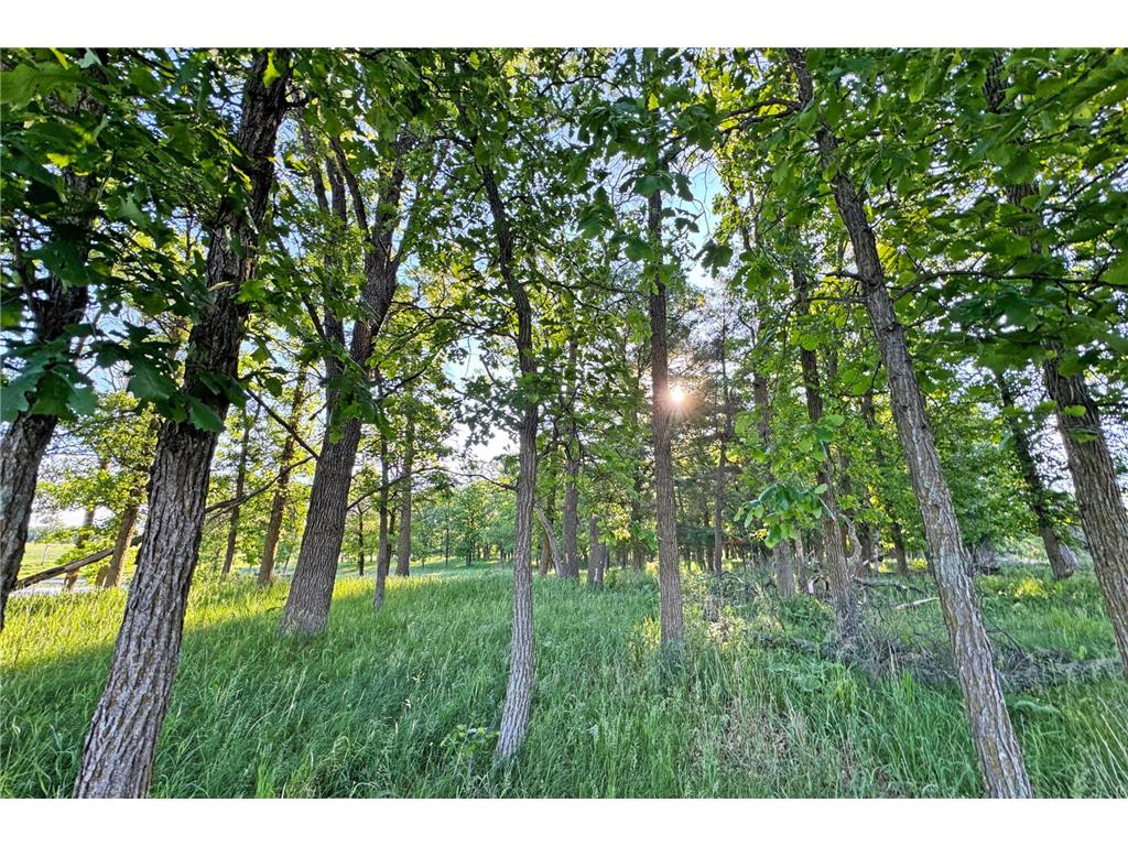 0000 Pine Street Fifty Lakes MN 56442 7094417 image33