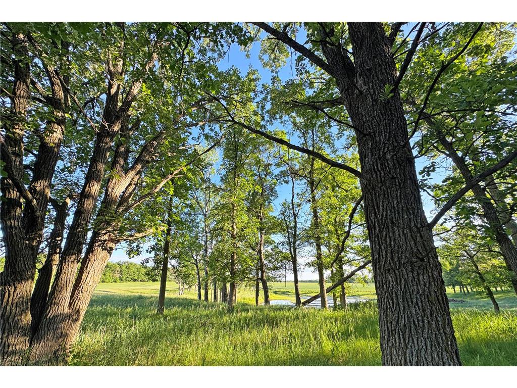 0000 Pine Street Fifty Lakes MN 56442 7094417 image34
