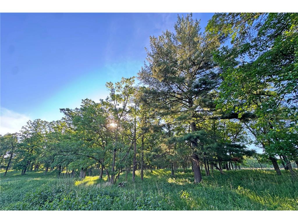 0000 Pine Street Fifty Lakes MN 56442 7094417 image35
