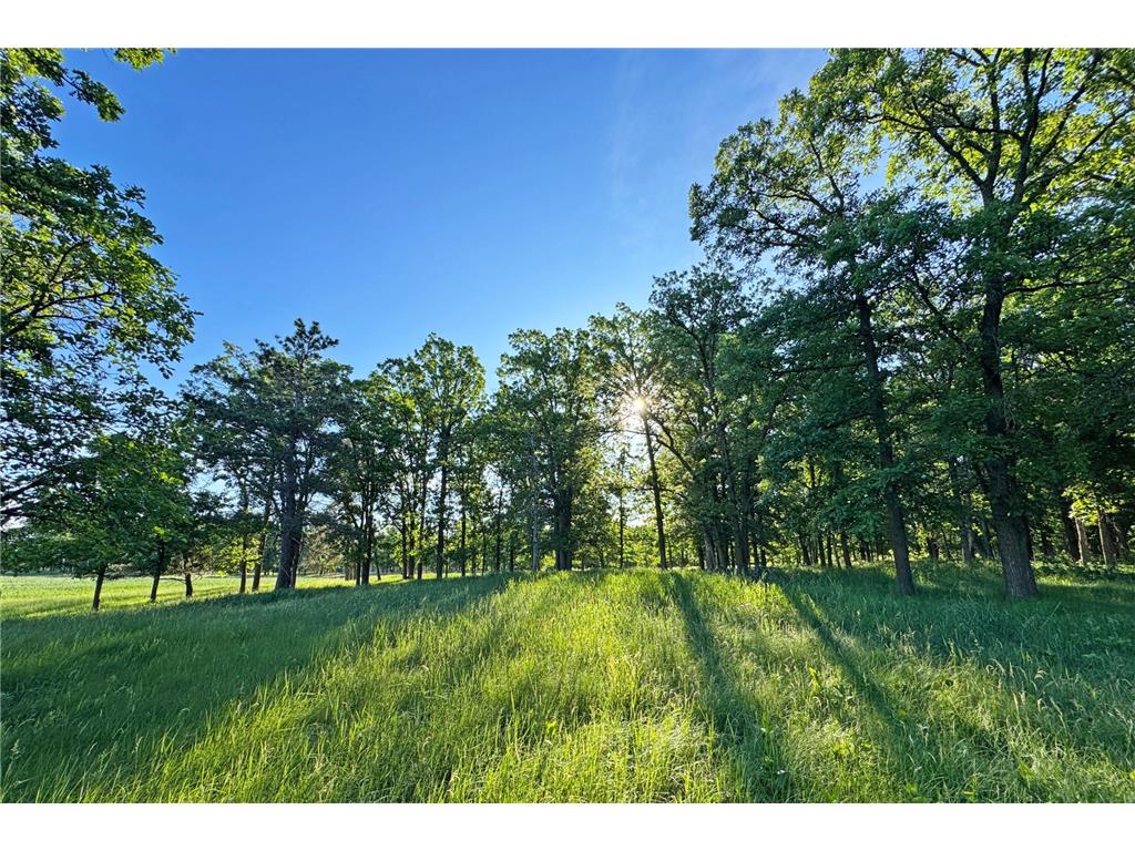 0000 Pine Street Fifty Lakes MN 56442 7094417 image37