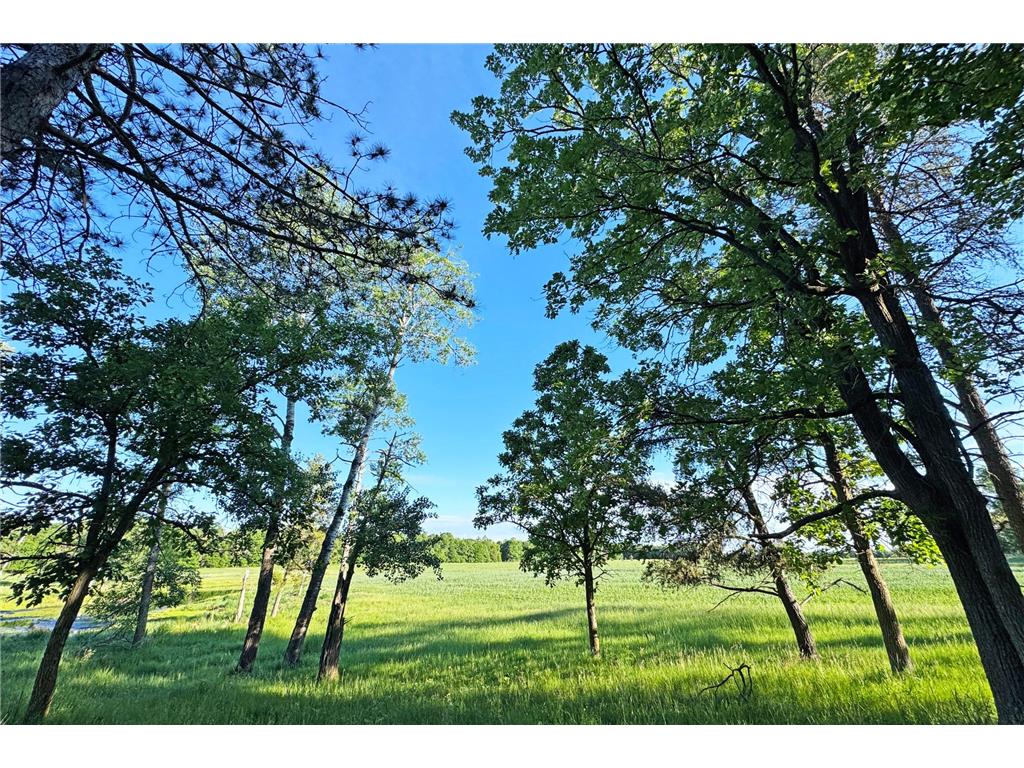 0000 Pine Street Fifty Lakes MN 56442 7094417 image38