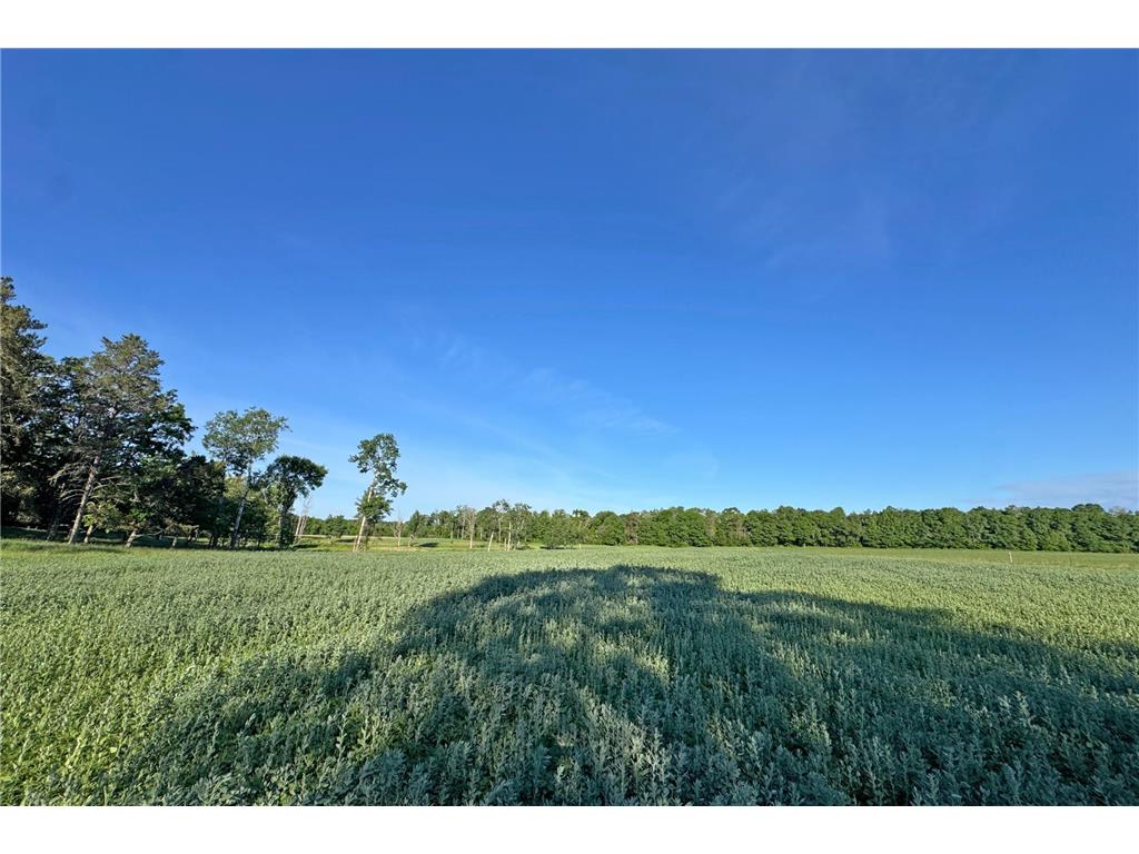 0000 Pine Street Fifty Lakes MN 56442 7094417 image39