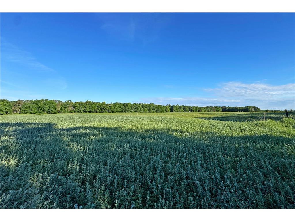 0000 Pine Street Fifty Lakes MN 56442 7094417 image40
