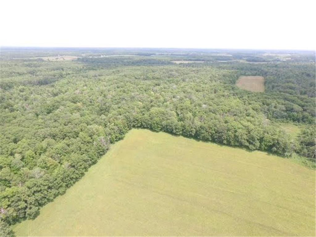 0000 Skyview Street Brook Park MN 55007 6400490 image1