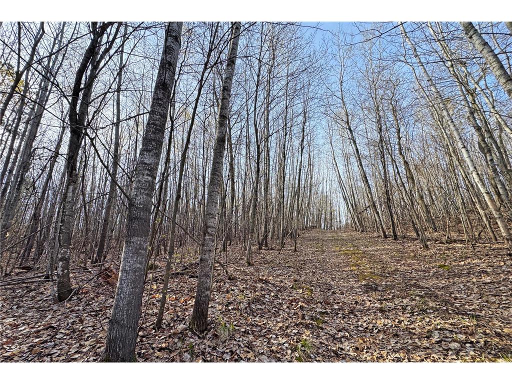 0000 Smoky Hills Trail Carsonville Twp MN 56570 7073641 image44