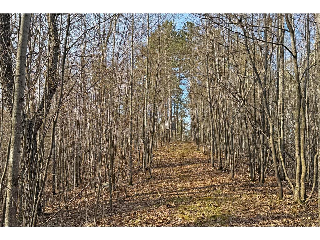 0000 Smoky Hills Trail Carsonville Twp MN 56570 7073641 image46
