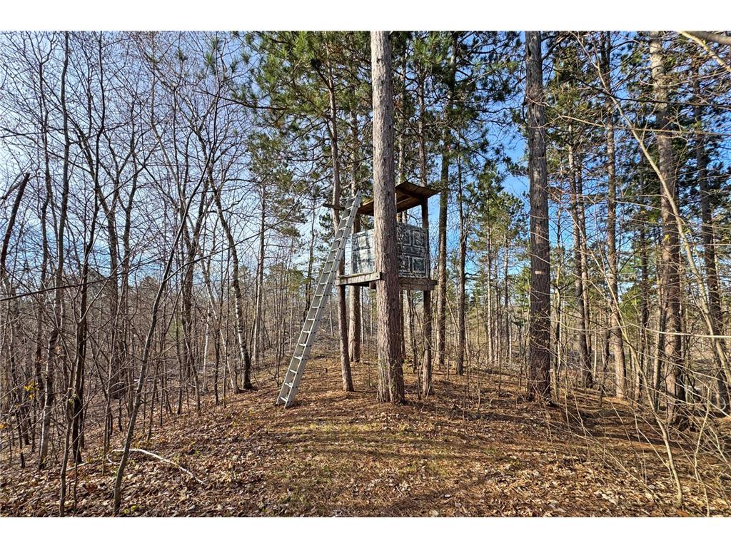0000 Smoky Hills Trail Carsonville Twp MN 56570 7073641 image47