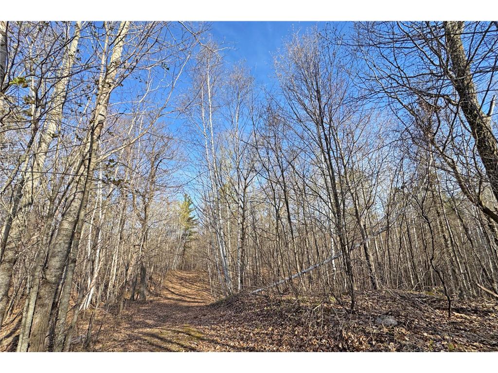 0000 Smoky Hills Trail Carsonville Twp MN 56570 7073641 image49