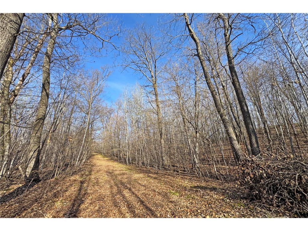 0000 Smoky Hills Trail Carsonville Twp MN 56570 7073641 image51