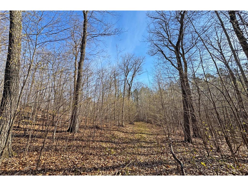 0000 Smoky Hills Trail Carsonville Twp MN 56570 7073641 image53