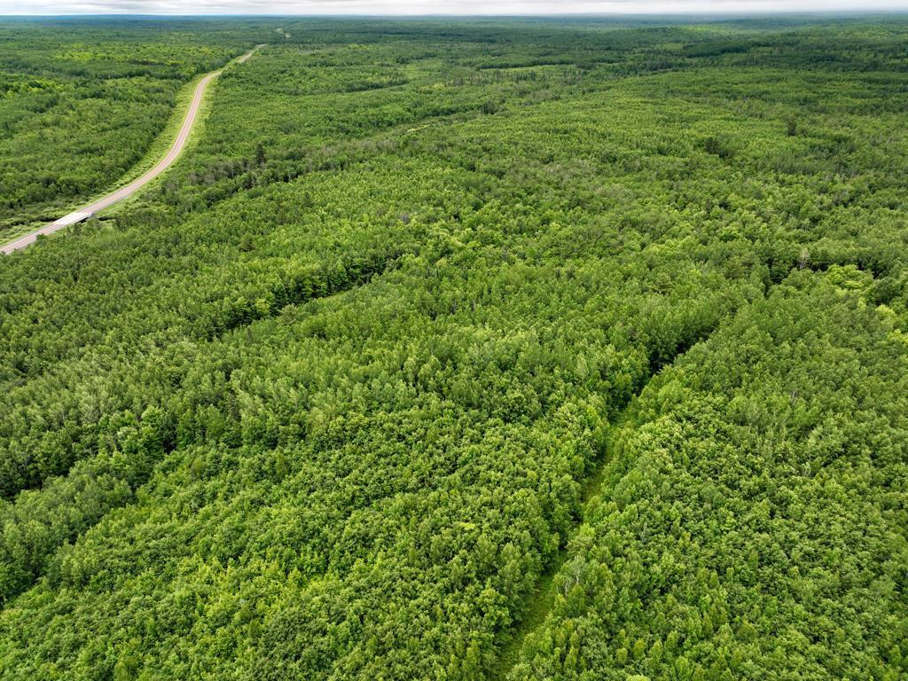 0000 State Highway 27 Barnes Twp WI 54873 - Ounce River 6787994 image1