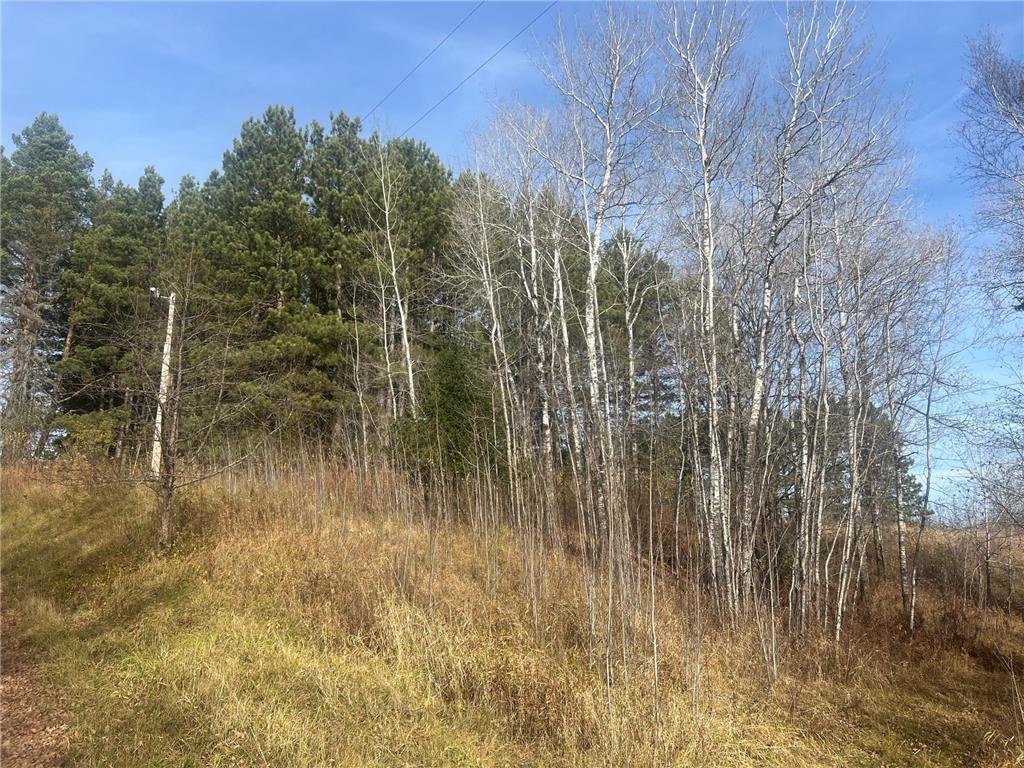 0000 Wick Road Grand Lake Twp MN 55779 6715027 image2