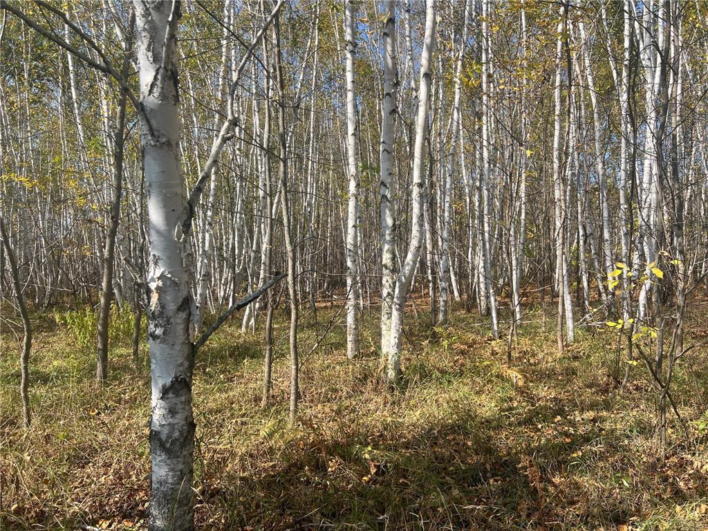 00000 County HWY 61 Mission Creek Twp MN 55037 6797802 image1