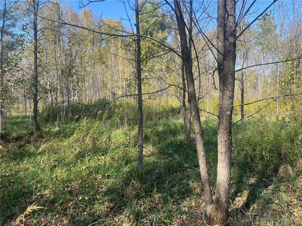 00000 County HWY 61 Mission Creek Twp MN 55037 6797802 image10