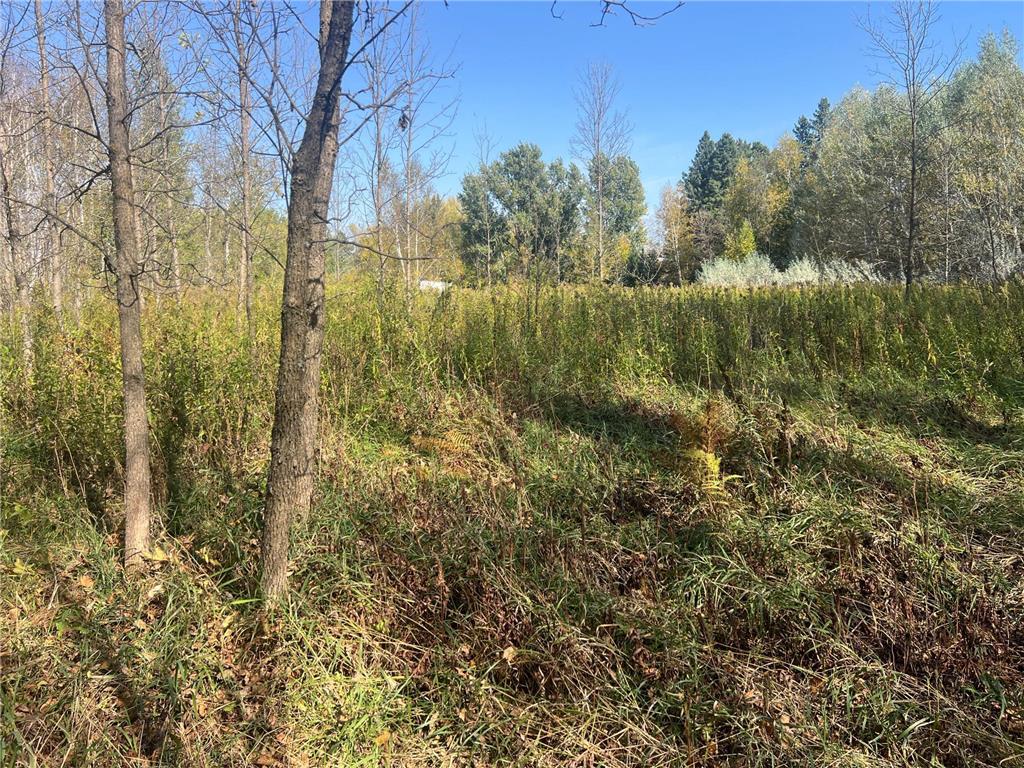 00000 County HWY 61 Mission Creek Twp MN 55037 6797802 image11