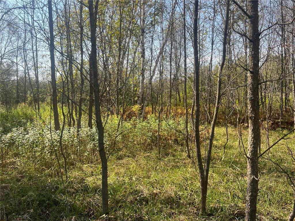 00000 County HWY 61 Mission Creek Twp MN 55037 6797802 image12