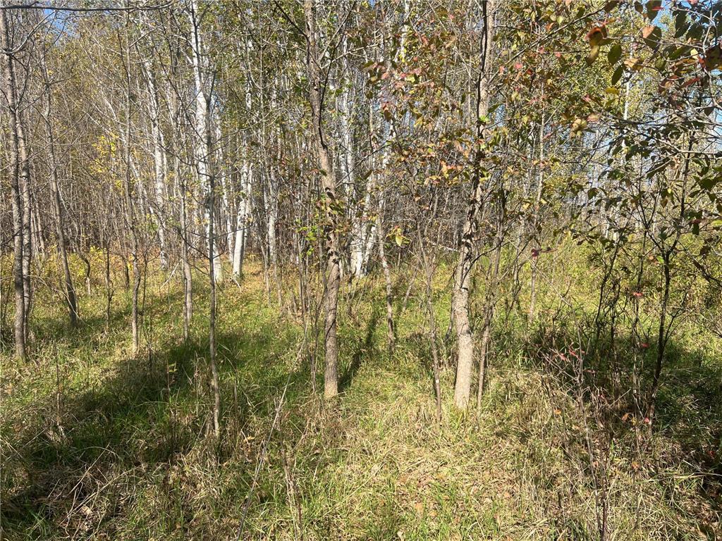 00000 County HWY 61 Mission Creek Twp MN 55037 6797802 image14