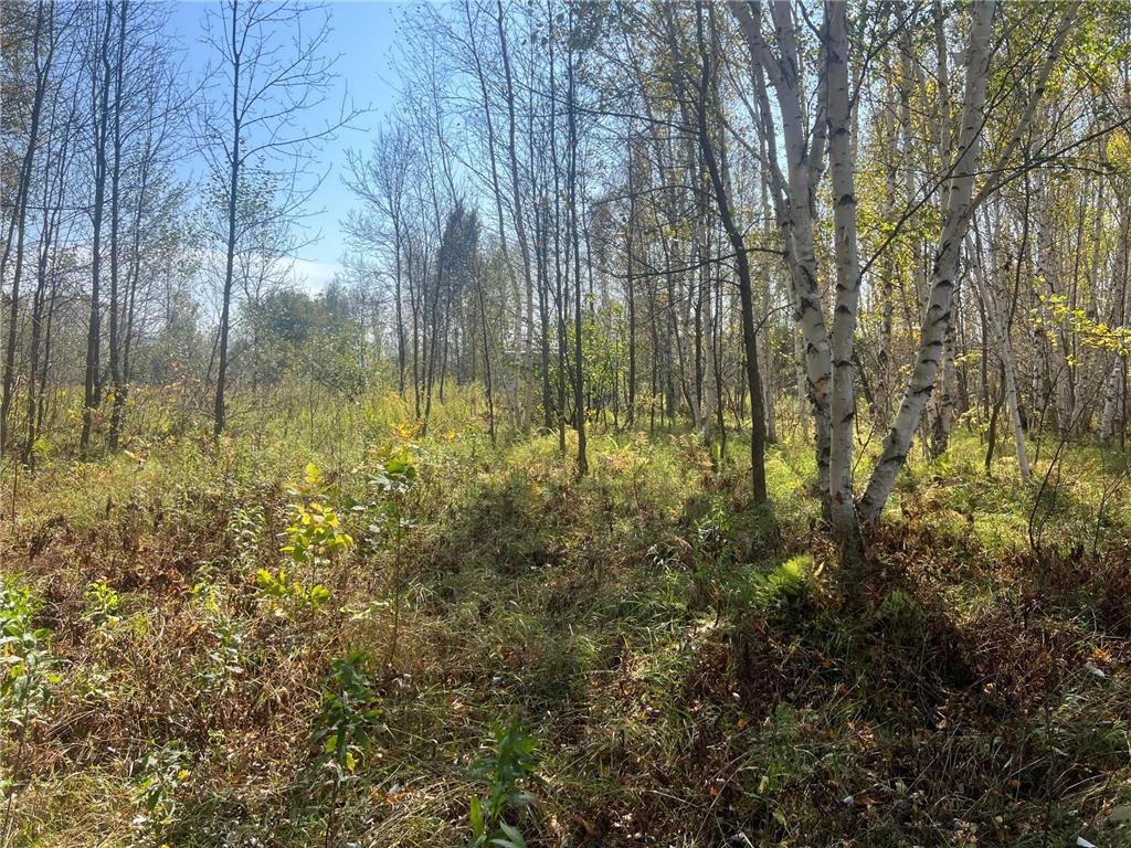 00000 County HWY 61 Mission Creek Twp MN 55037 6797802 image17