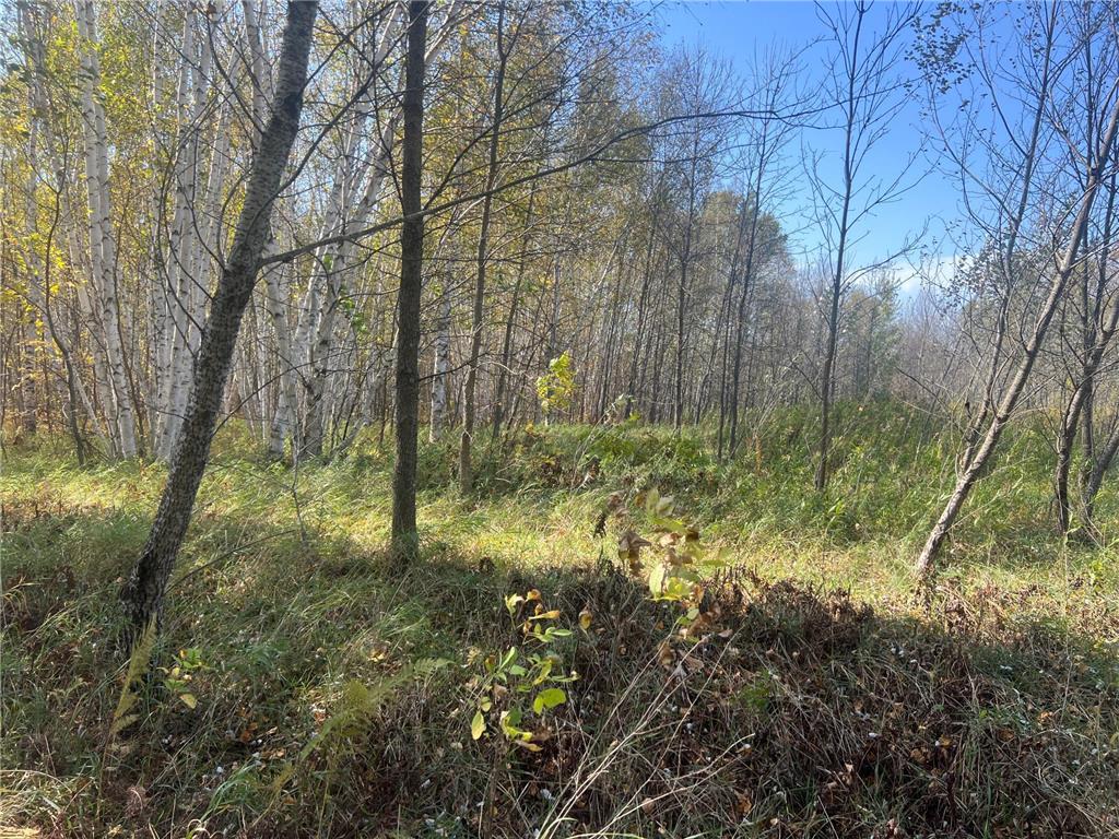 00000 County HWY 61 Mission Creek Twp MN 55037 6797802 image18