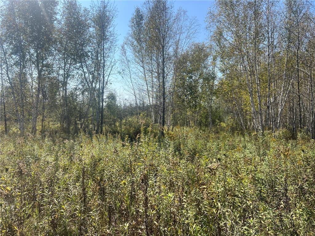 00000 County HWY 61 Mission Creek Twp MN 55037 6797802 image19