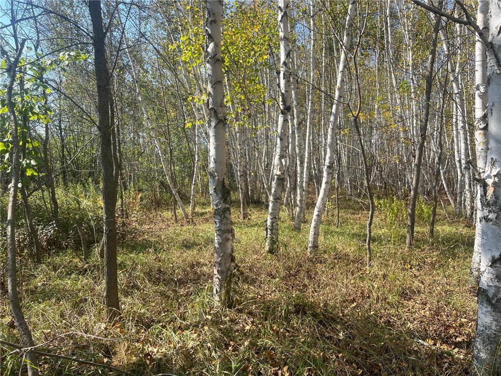 00000 County HWY 61 Mission Creek Twp MN 55037 6797802 image2