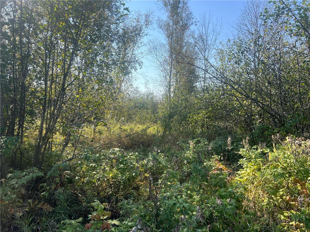 00000 County HWY 61 Mission Creek Twp MN 55037 6797802 image20