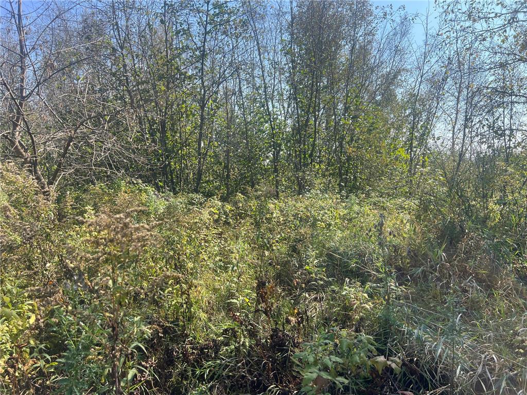 00000 County HWY 61 Mission Creek Twp MN 55037 6797802 image21