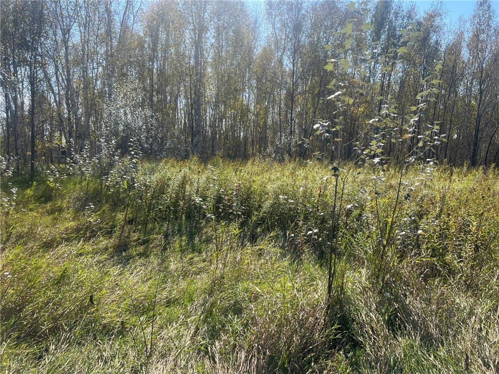 00000 County HWY 61 Mission Creek Twp MN 55037 6797802 image23