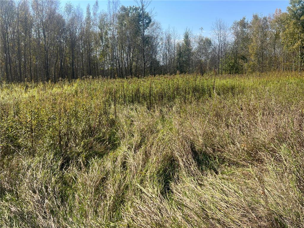 00000 County HWY 61 Mission Creek Twp MN 55037 6797802 image26