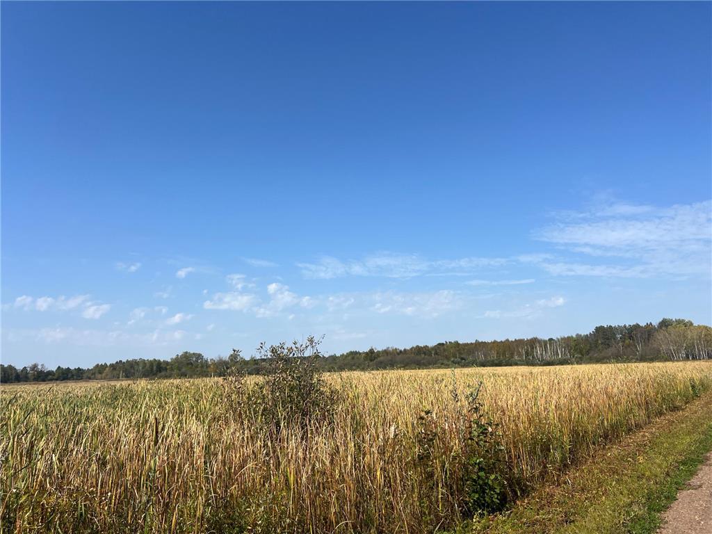 00000 County HWY 61 Mission Creek Twp MN 55037 6797802 image29