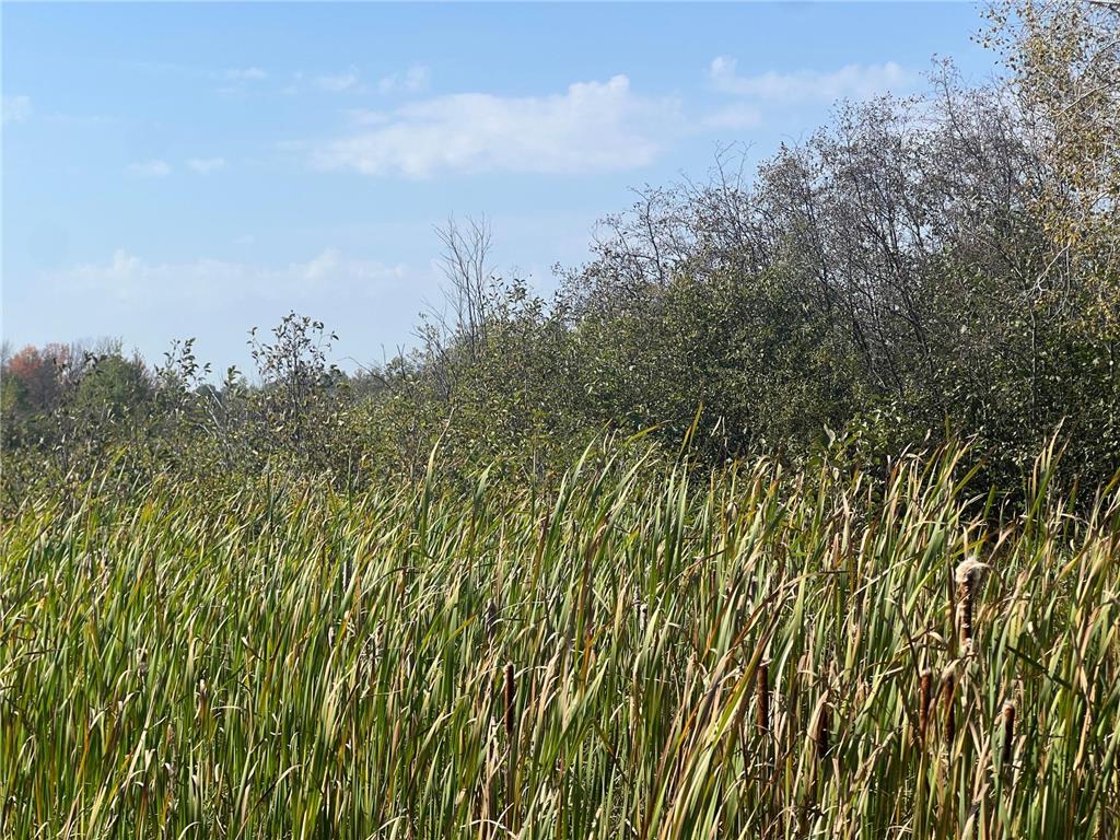 00000 County HWY 61 Mission Creek Twp MN 55037 6797802 image30