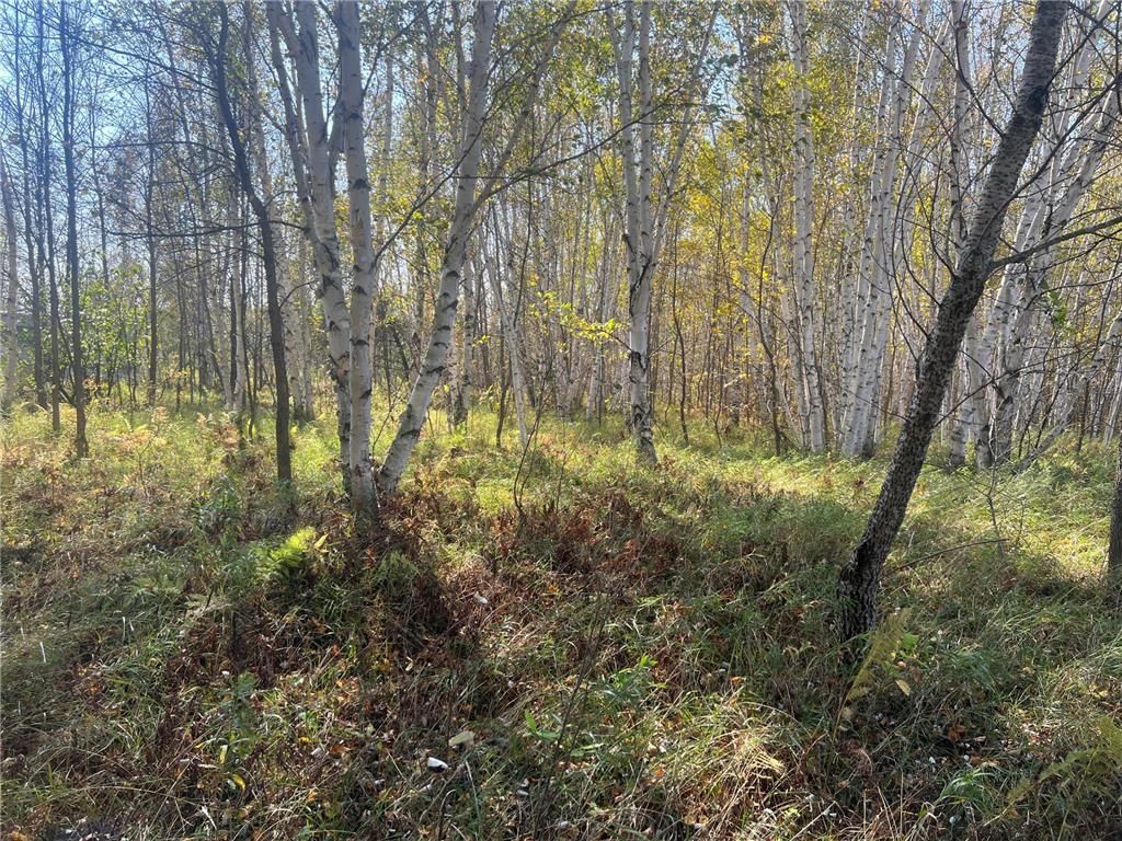 00000 County HWY 61 Mission Creek Twp MN 55037 6797802 image4