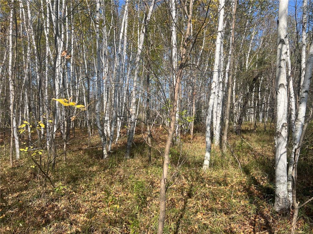 00000 County HWY 61 Mission Creek Twp MN 55037 6797802 image5