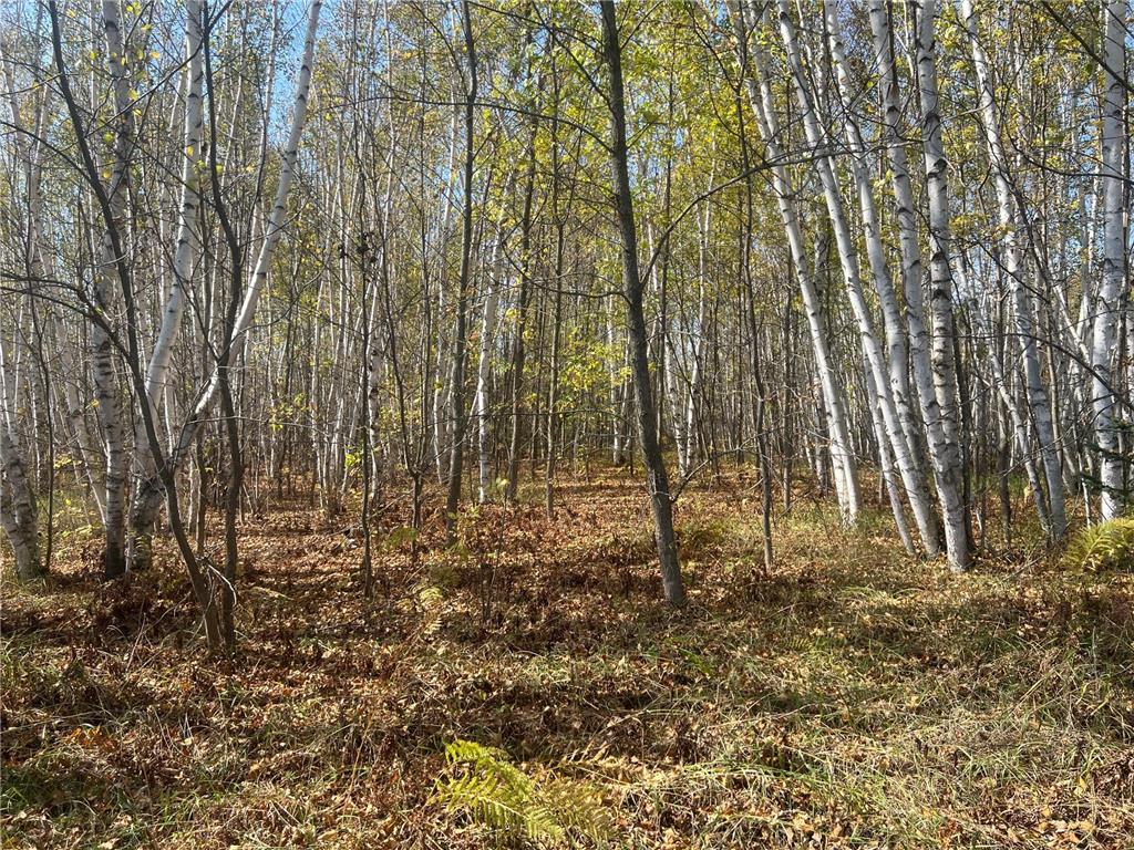 00000 County HWY 61 Mission Creek Twp MN 55037 6797802 image6