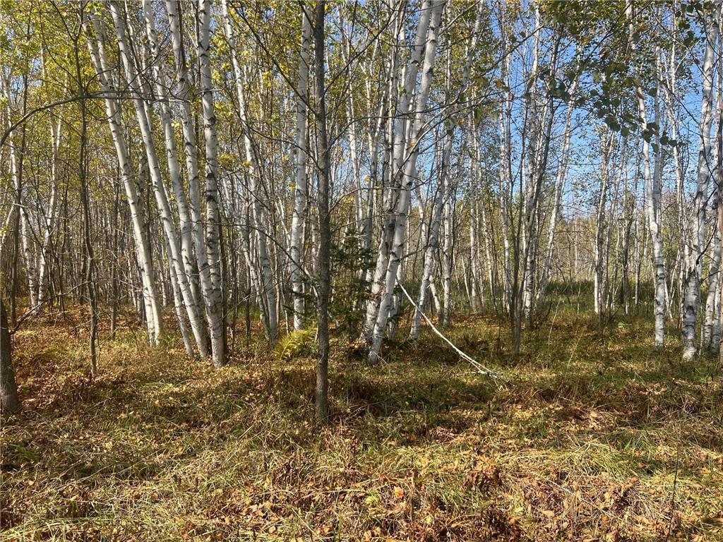 00000 County HWY 61 Mission Creek Twp MN 55037 6797802 image7