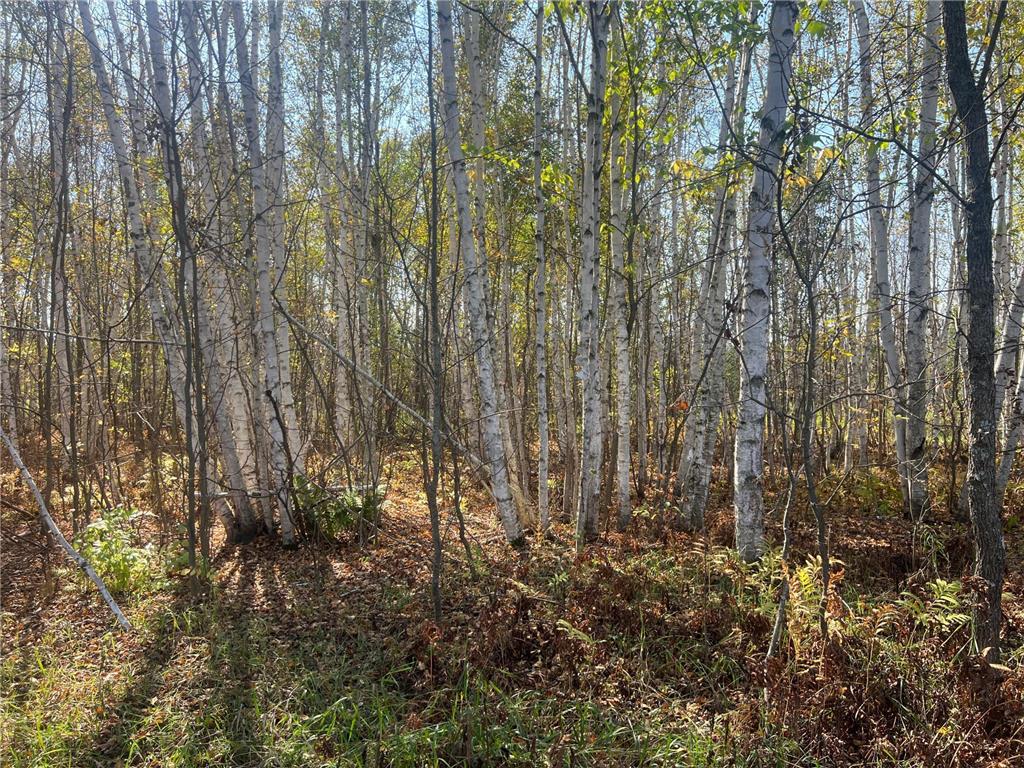 00000 County HWY 61 Mission Creek Twp MN 55037 6797802 image8