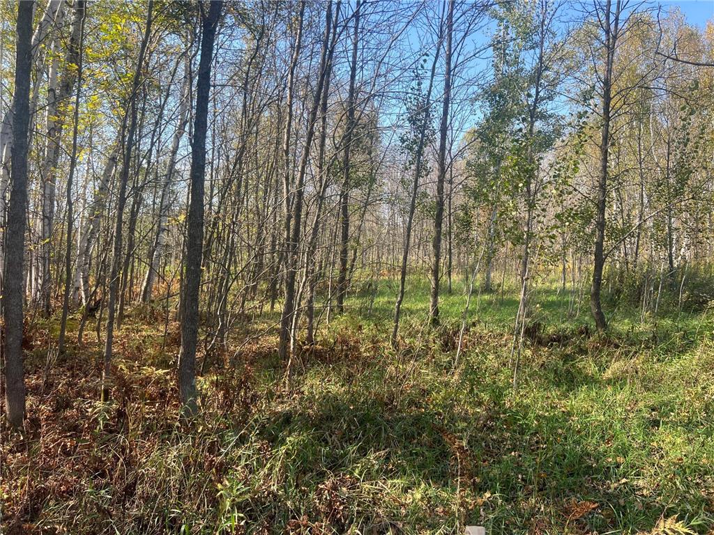 00000 County HWY 61 Mission Creek Twp MN 55037 6797802 image9