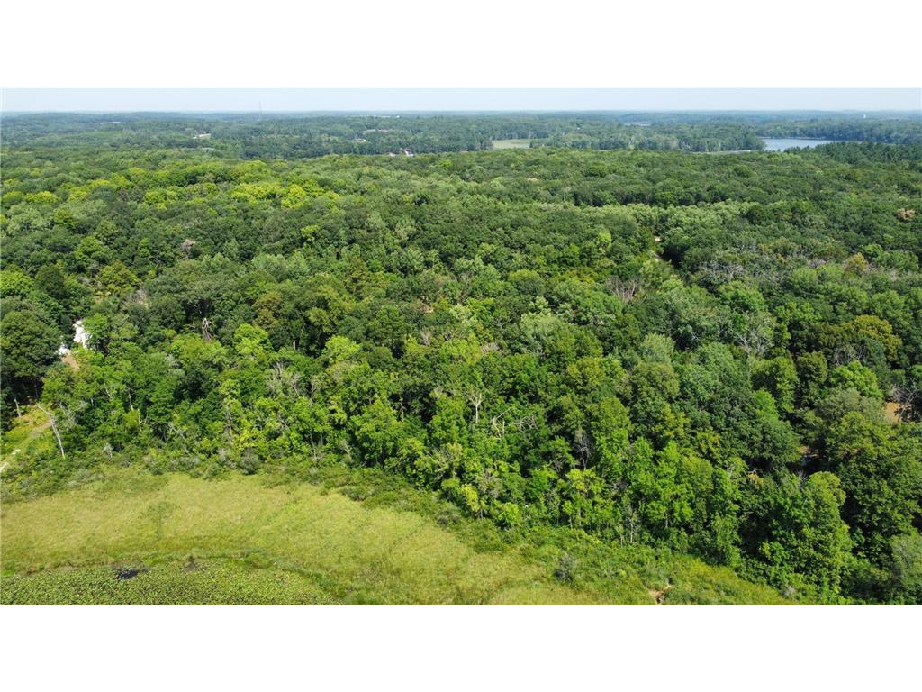 00000 Ottawa Drive, Browerville, MN, 56438 MLS 6414467 Edina Realty