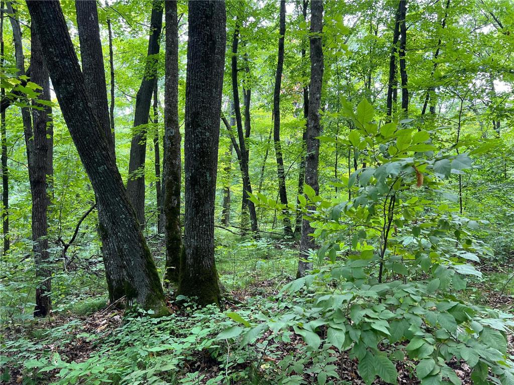 00000 River Island Road Pine City Twp MN 55063 - Snake River 6777235 image10