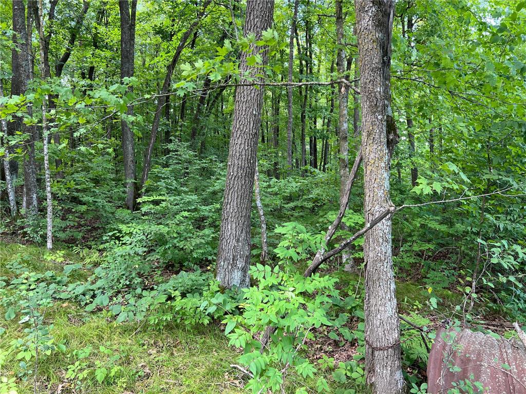 00000 River Island Road Pine City Twp MN 55063 - Snake River 6777235 image14