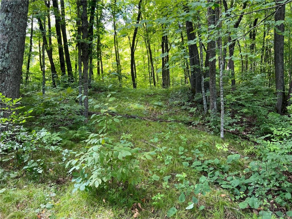 00000 River Island Road Pine City Twp MN 55063 - Snake River 6777235 image15