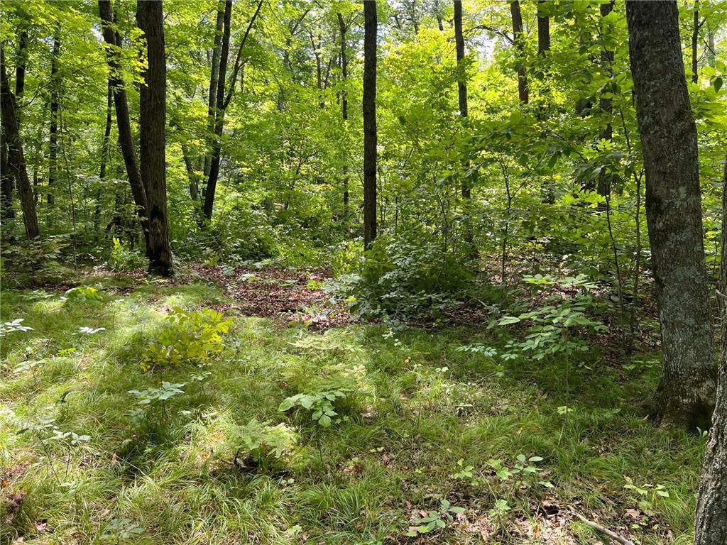 00000 River Island Road Pine City Twp MN 55063 - Snake River 6777235 image17