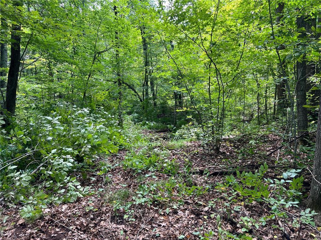 00000 River Island Road Pine City Twp MN 55063 - Snake River 6777235 image18