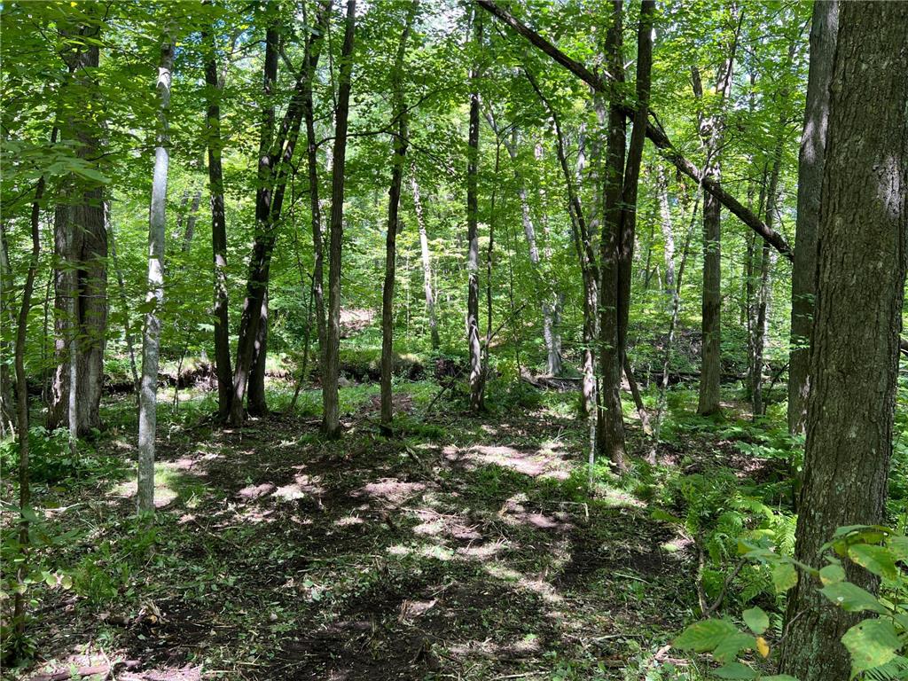 00000 River Island Road Pine City Twp MN 55063 - Snake River 6777235 image19