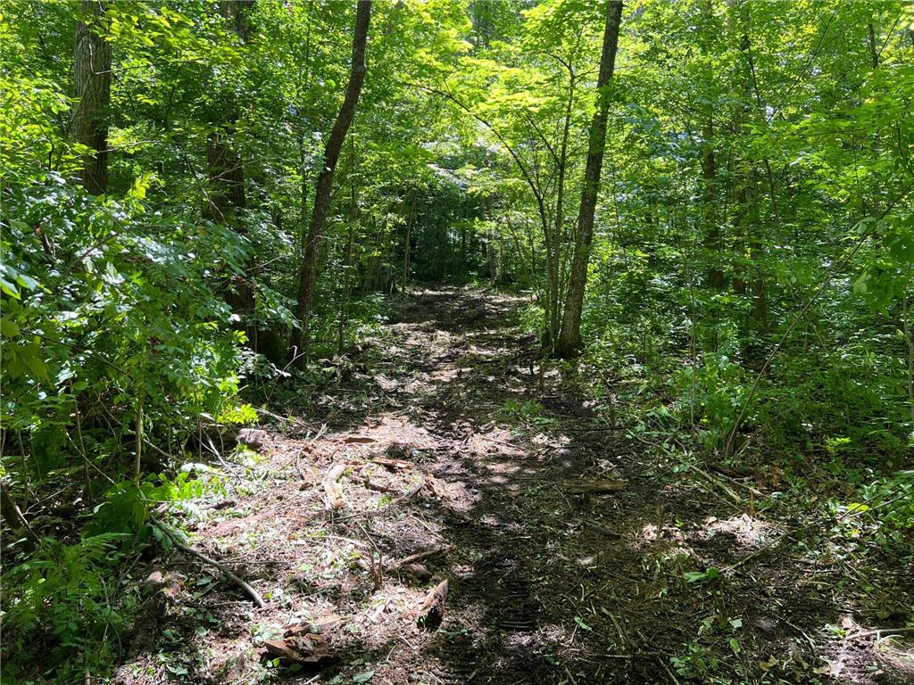 00000 River Island Road Pine City Twp MN 55063 - Snake River 6777235 image20